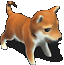 小柴汪.gif