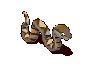 百步蛇-走路.gif