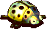 黄星瓢虫-走路.gif