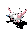 仙子伊布-受伤.gif