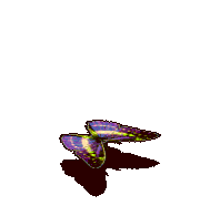 海伦娜闪蝶-攻击.gif