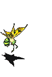 觉醒的杀人蜂-攻击.gif