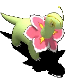 大竺葵-站立.gif