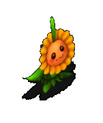 耀阳花-魔法.gif