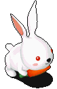 萝卜兔.gif