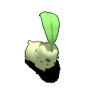 菊草叶-魔法.gif