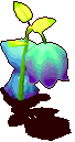 夏菫花妖.gif
