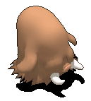 长毛猪-移动中.gif