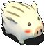 白白野猪.gif