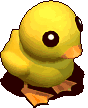 黄色小鸭.gif