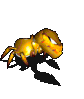 觉醒的黄金螃蟹-魔法.gif