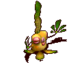 黄水草吸血苔-倒下.gif