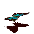 蓝闪蝶-魔法.gif