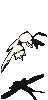 觉醒的寄生蜂-站立.gif