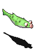 翠绿河豚.gif