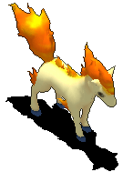 小火马.gif