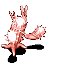 改造花舞仙人掌-倒下.gif