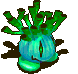 碧蓝海葵.gif
