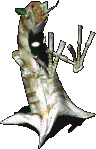 惨白树精-防御.gif