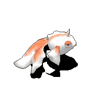 角金鱼-魔法.gif