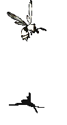 觉醒的寄生蜂-攻击.gif