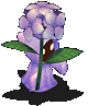 绣球花妖.gif