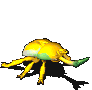 独角仙-站立.gif