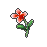 苹果薄荷.png