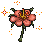 闪耀之花.gif