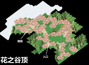 花之谷顶.png