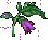 紫色曼陀罗.gif