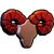 Image 1774375576901 321.png