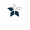 二星.png