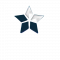 二星.png
