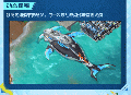 2025年8月19日 (二) 19:48版本的缩略图