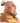 WarriorIcon.png