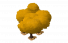 East Pole Island Tree.png