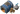 Armory1.png