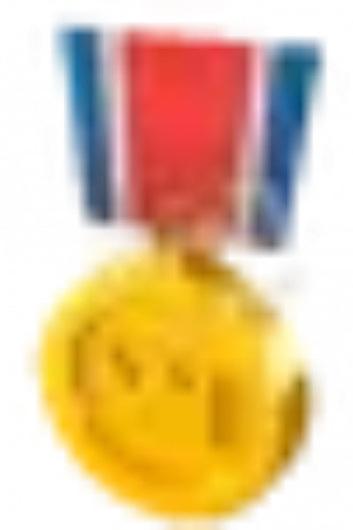 文件:奖牌.png