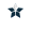 一星.png