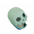 SKELETON HELMET Steve.png