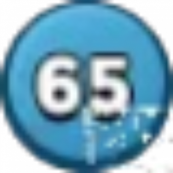 文件:Lv.65.png