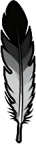 神雕羽毛.png