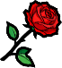 玫瑰.png