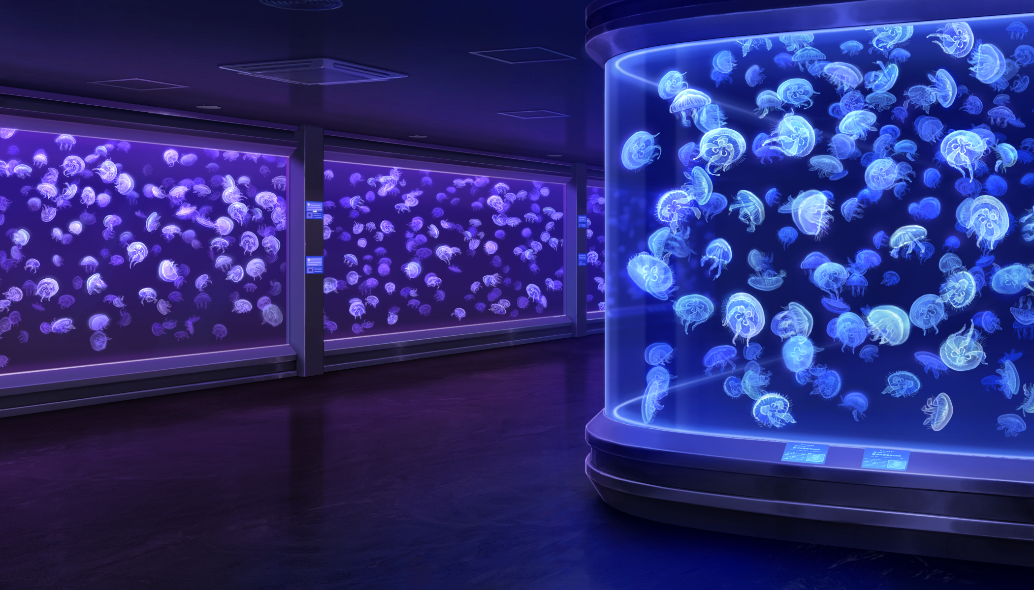 Aquarium1 d2.png