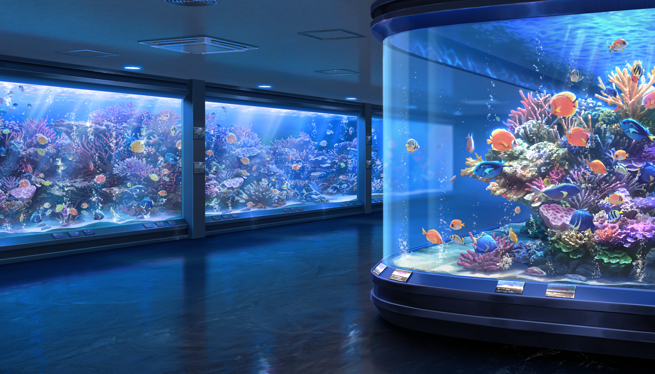Aquarium1 d1.png