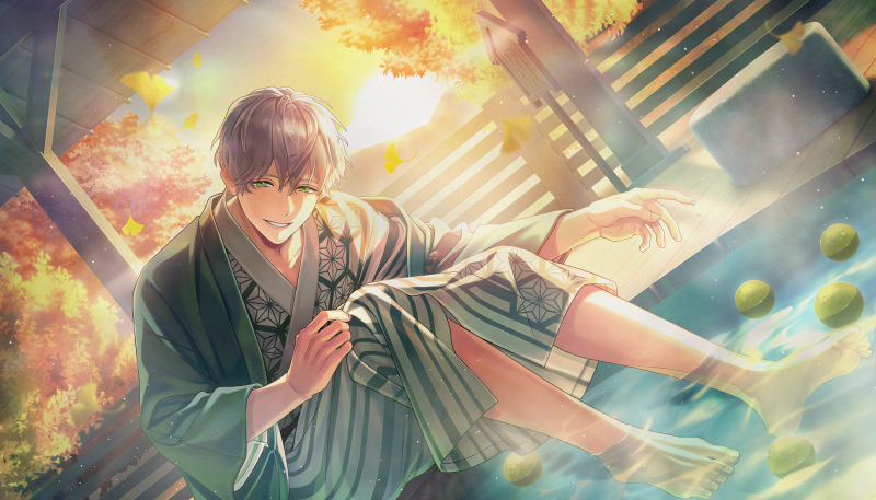 文件:Card illust 294.png