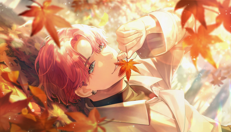 文件:Card illust 299.png