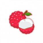 荔枝.png