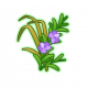 香草.png